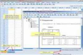 SPSS