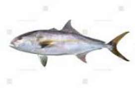 Hamachi